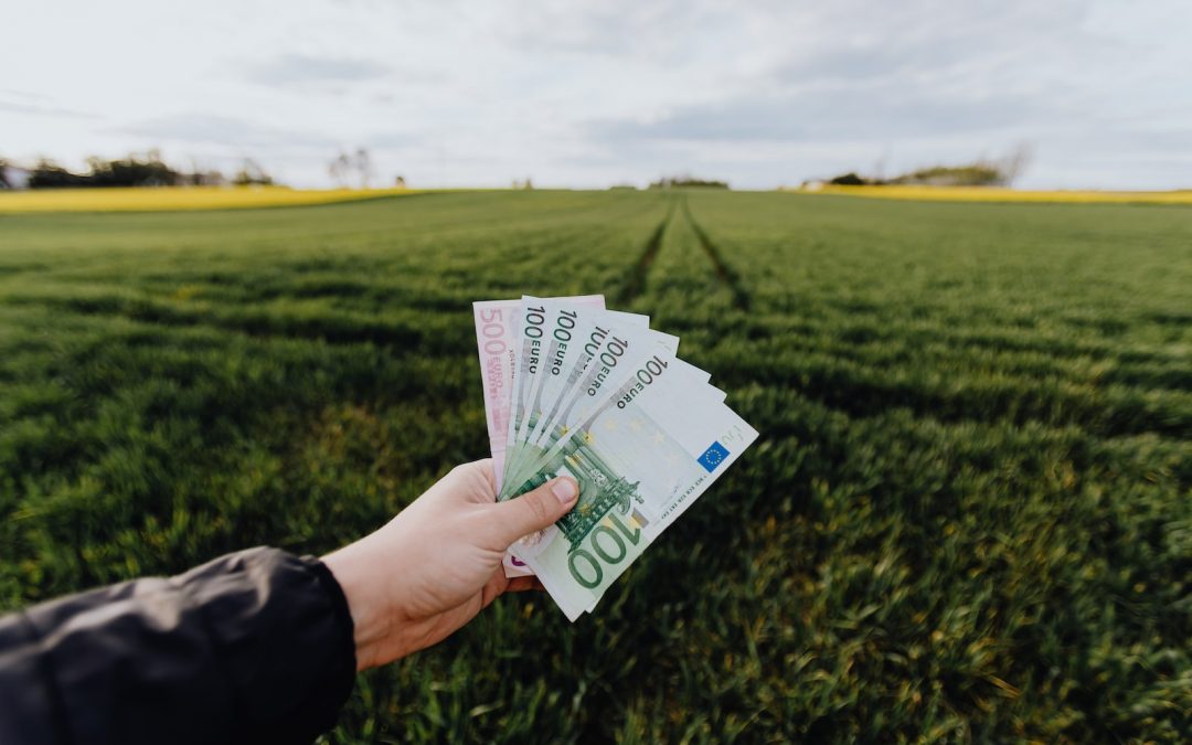 Crop farmer showing money in green summer field in countryside